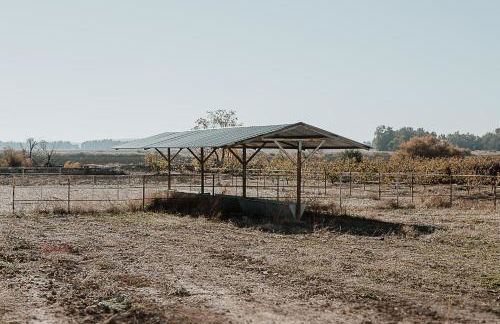 Cortijo Santa Clara - Foto 38