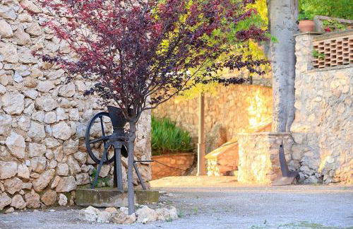 Cortijo el Chorreadero en Parque Natural Sierra de Cazorla - Foto 8