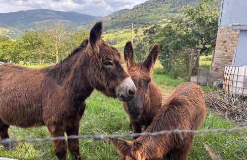 El Refugio de los Corrales - Foto 78