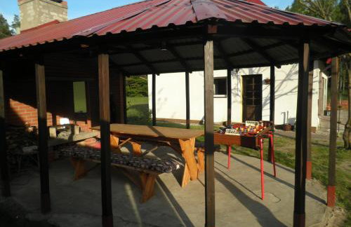 Pokoje w lesie - Foto 15