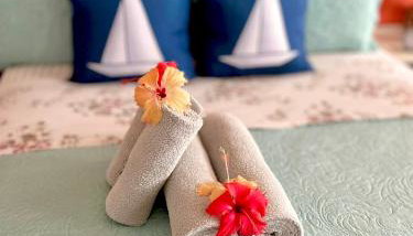 Casa Barracuda - Foto 2