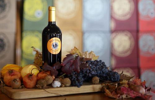 Tenuta Santomè - Foto 29