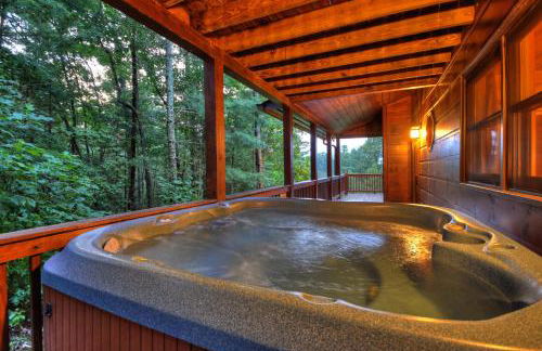 Mountain High Lodge - Mineral Bluff GA - Foto 4