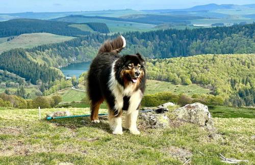 Super Besse chez Sophie 2ch, séjour, wifi, 2tv, rdc, terrasse, parc, piscine, pkg - Foto 43