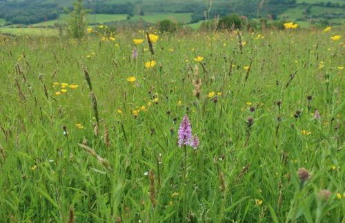 2 Bed in Chepstow oc-95046 - Foto 29