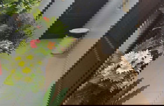 Al Eairy Furnished Apartments Al Ahsa 5 - Photo 30