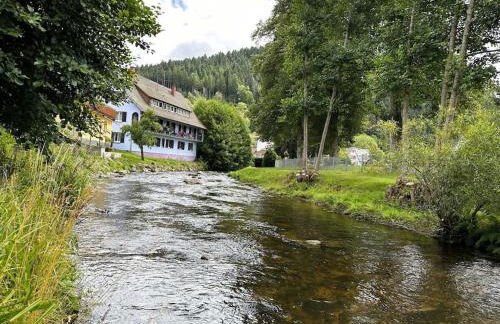 Dream holiday apartment Kinzig-Chalet - Foto 19