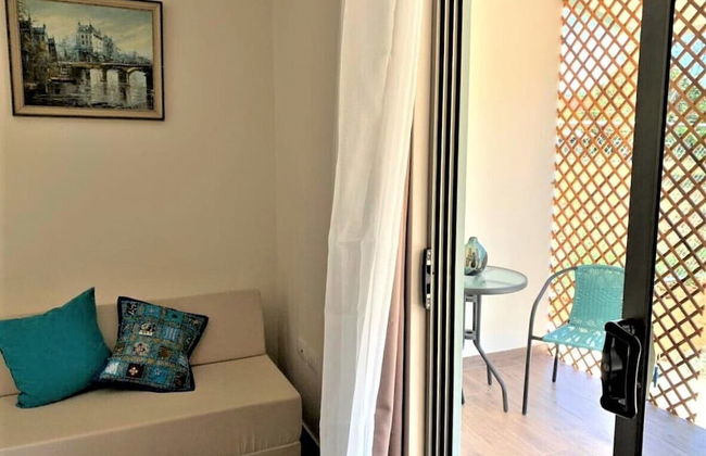 Morning Glory - Foto 36