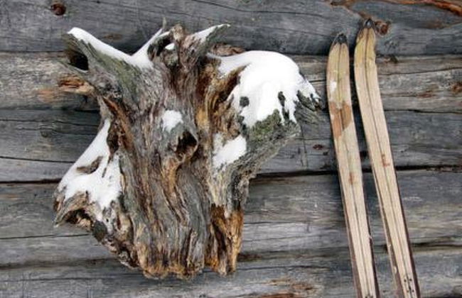 Kopinkallio 1 - Foto 17