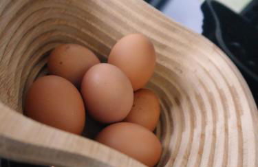 Rest At Last - Highland Apartment with Private hot tub - Photo 47