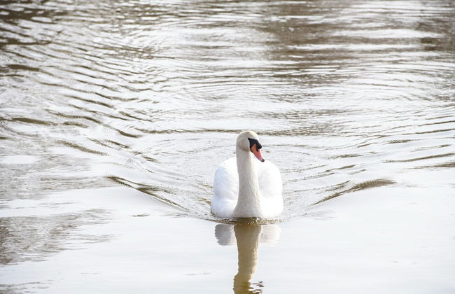 Loosdrecht Rien van den Broeke Village - Foto 47