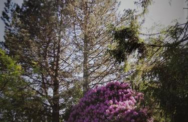 Chałpa na skarpie - Foto 34