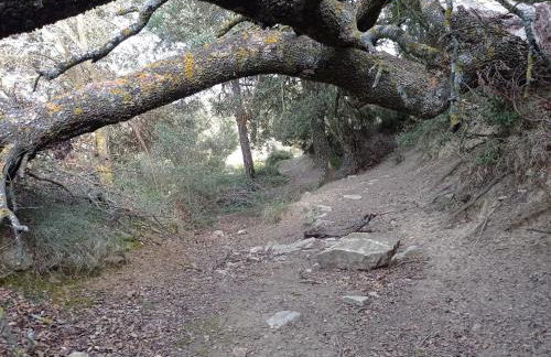 Apartamentos Rurales Casa del Tio Juan - Foto 100