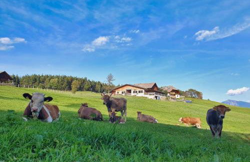 Ferienwohnung Schlern Bio Schrofhof - Photo 37