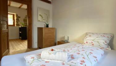 Modernes Apartment in historischem Gebäude - Foto 5