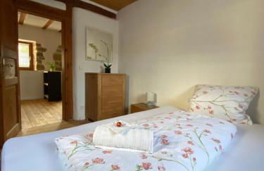 Modernes Apartment in historischem Gebäude - Foto 5