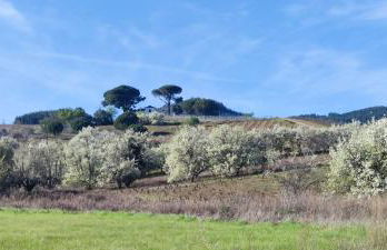 BenedettaMolinaseca VuT - Foto 67