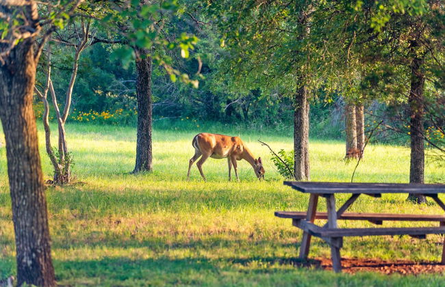 Pet-friendly Marble Falls Home w/ Hot Tub! - Foto 20