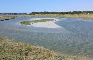 O nid des greves - Foto 35