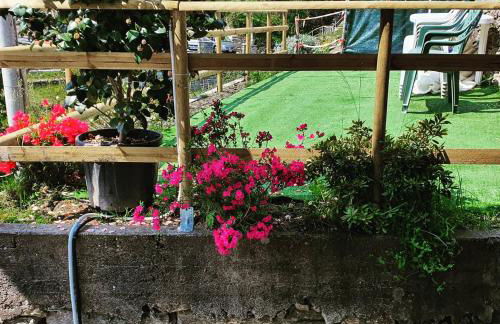 Coccinella House - Foto 39