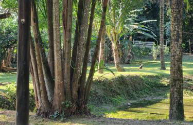 Sítio Refúgio do Lobo - Foto 10