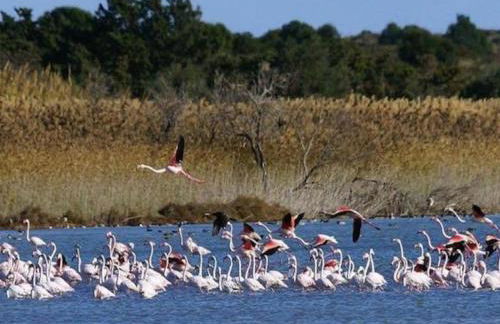 Casa Vacanze A Pennichella - Foto 23