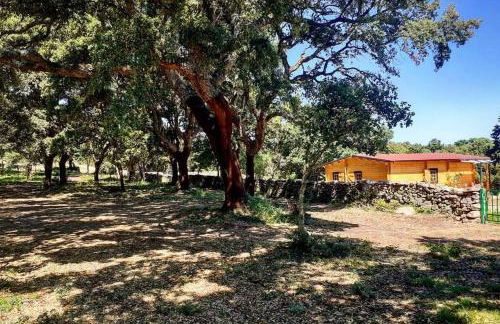 Eco Lodge nella natura Con Piscina privata "La Grande Quercia" - Foto 59