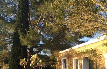 encantadora casa ibicenca - Foto 8