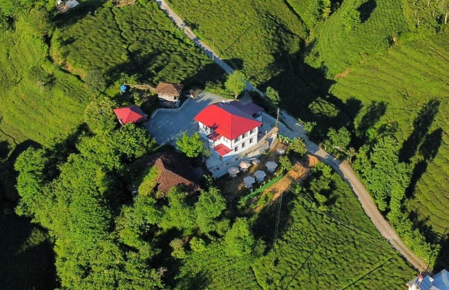 Rino Hauss - Photo 7