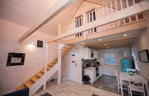 Kwiat Paproci - Foto 6