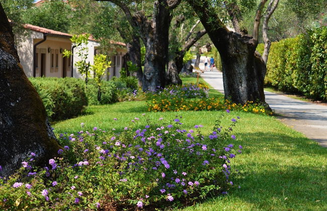 Blue Marine - Photo 14