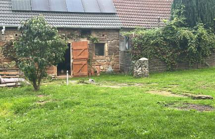 Himmelsscheibe - Foto 10