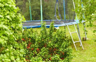 Stara Pastorówka - Foto 11