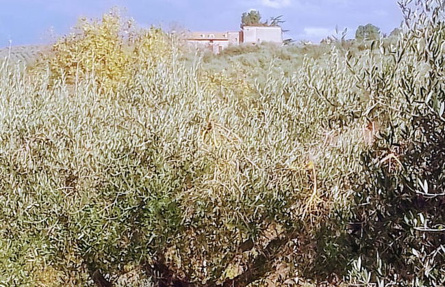 Borgo Cenaioli - Photo 41