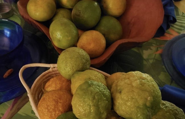 Seacret Studios - Cozy Jamaican Retreat Apts by RedAwning - Photo 16