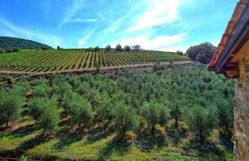 Casa Maria Luisa by PosarelliVillas - Foto 28