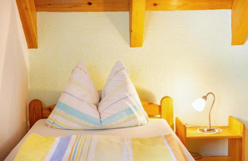 Beutenmühle Straussenfarm Dach - Foto 20