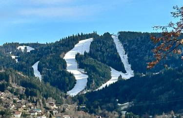 Chalet PRALIN - Foto 21