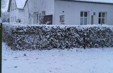 Ferienhaus an der Allee - Foto 34