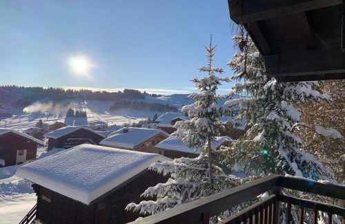 APPARTEMENT VUE SUR LES PISTES Aux SAISIES 4 - Foto 14