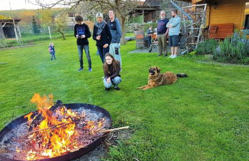 Müllers Hof Ferienwohnung/Pension - Foto 37