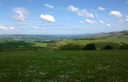 Plas yn Yale with mountain views from all windows - Photo 26