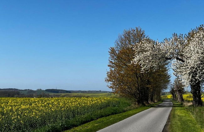 Cozy Holiday Home in Hohenkirchen near Baltic Sea - Foto 39