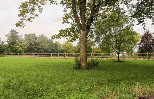 Hapton Folly - Foto 21