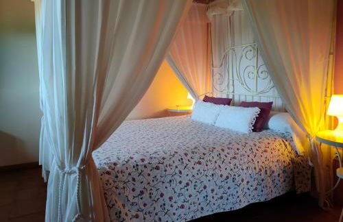 Masia los Toranes - Destino Starlight - Foto 69