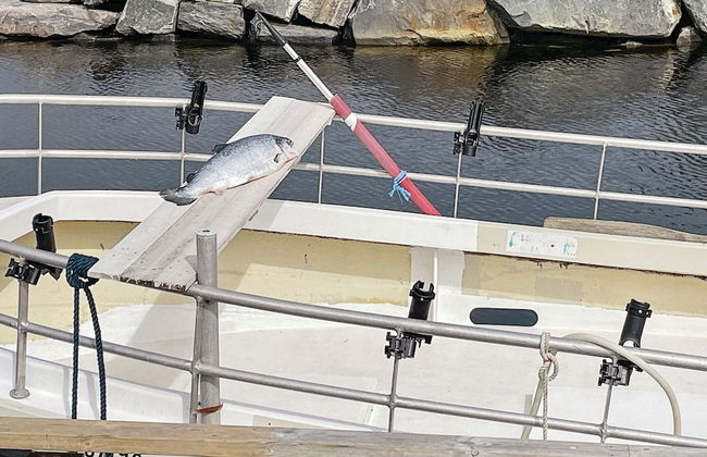 8 Person Holiday Home in Korssund-by Traum - Foto 17