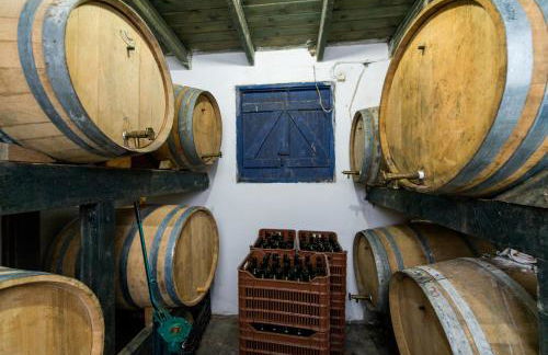 Sandy Beach Villas and Apartments - Photo 71