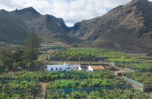 Hacienda Camino de La Cruzada - Foto 9