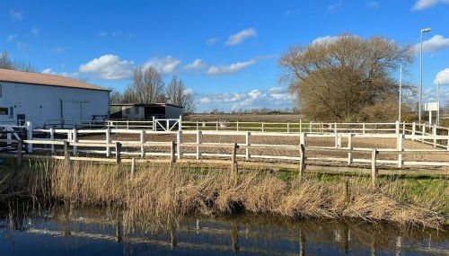 Idylle auf dem Reiterhof bei Husum - Foto 4