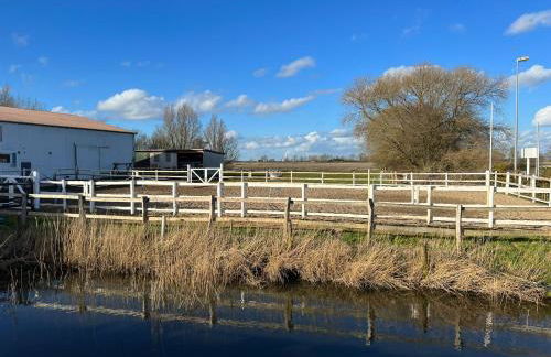Idylle auf dem Reiterhof bei Husum - Foto 4